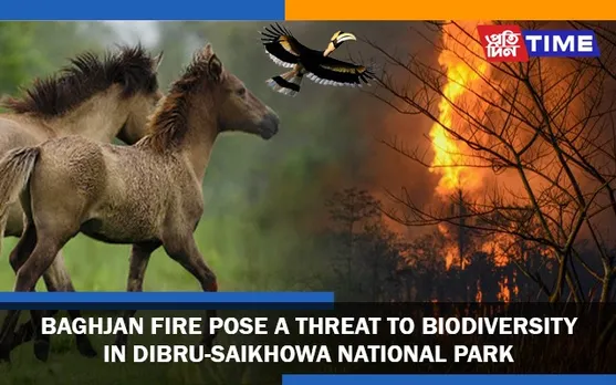 Baghjan Fire Pose a Threat to Dibru-Saikhowa National Park