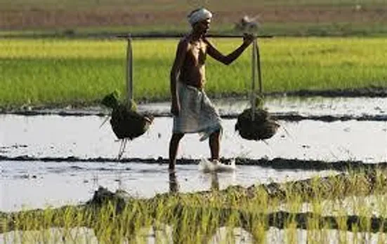 Assam to create 100 Farmers’ Producers Company: CM Sonowal