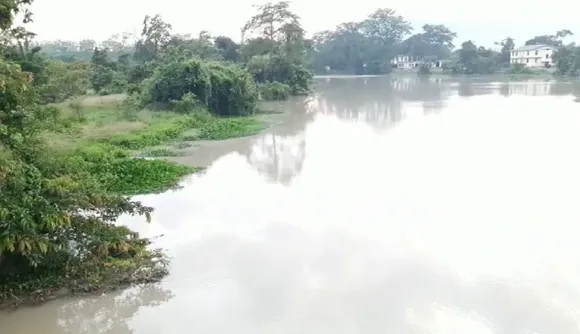 Pobitora Reels Under Flood, Animals Move To Highlands
