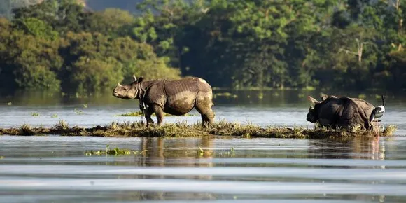 70% of Orang National Park inundated