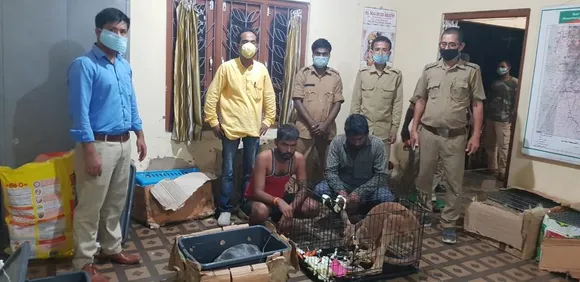 Cachar: Exotic Wildlife Rescued, 2 Detained