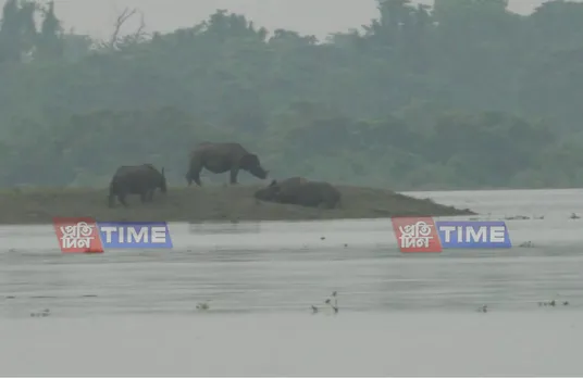 Prince William Expresses Concern Over Kaziranga Flood