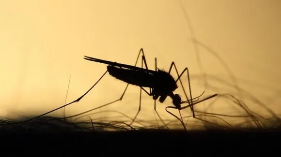 Minor boy dies of Japanese Encephalitis