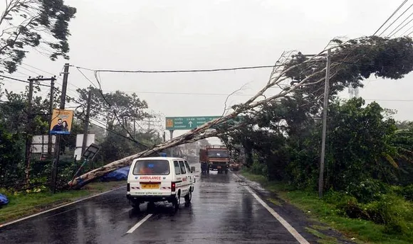 Bokakhat: Uprooted Tree Falls on Cars