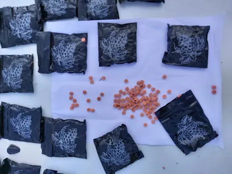 Drugs worth Rs 8 lakh seized, two arrested