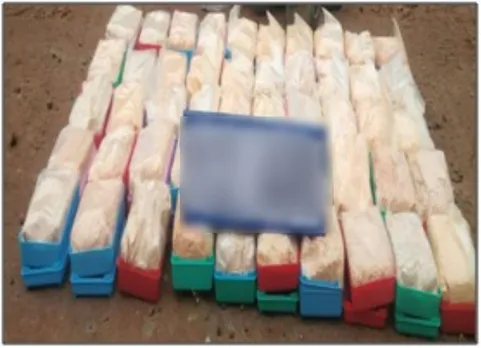 Golaghat Police Arrest 7 Drug Peddlers, Seize Drugs