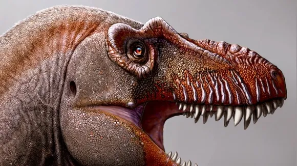 New Species of Dinosaur Discovered
