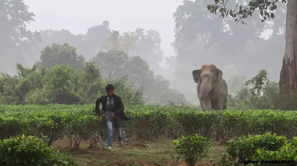 Man Attacked By Elephant in Bijni