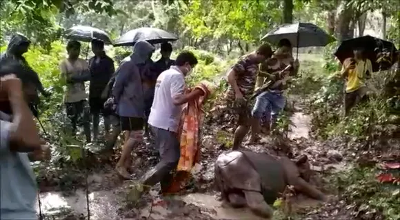 Rhino Calf Rescued In Kaziranga