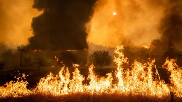 Assam: Fire Breaks Out In Paddy Field