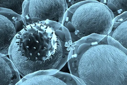 ICMR Warns of New Chinese Virus ‘Cat Que’