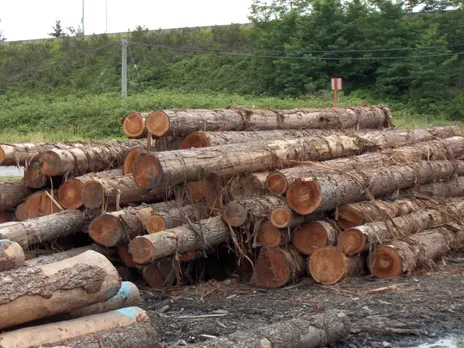 Illegal Logs Seized in Bilasipara