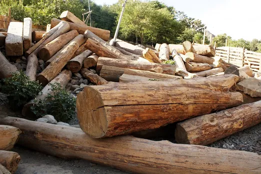 Arunachal-Assam To Combat Illegal Timber Trade