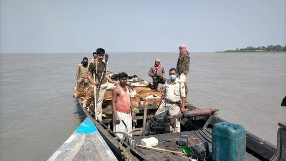 Dhubri: Police Foil Cow Smuggling Attempt