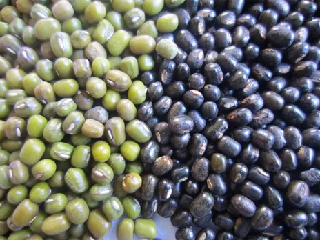South Salamara: 200 Sacks Of Pulses Seized