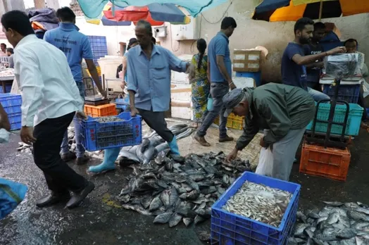 China Claims COVID Found On Fish Exports From India