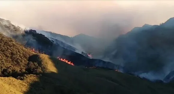 Fire Continues To Engulf Dzukou Valley