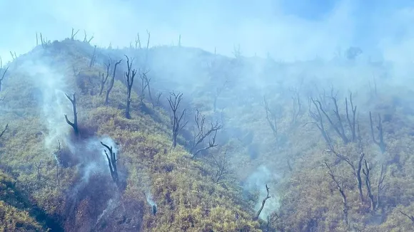 Nagaland: Forest Fire In Dzukou Range Controlled