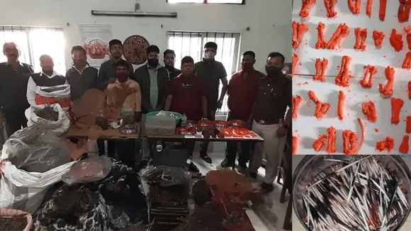 Animal Skin, Organs Seized From Kamakhya Temple