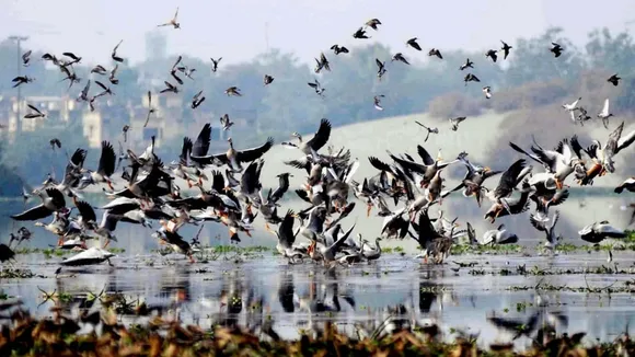 Arunachal Locals Surrender Over 2000 Airguns To Shun Hunting