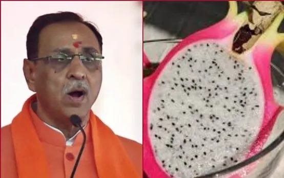 Gujarat Govt Renames Dragon Fruit As ‘Kamalam’