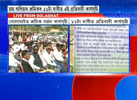 Golaghat: Tea Workers Stage Protest Over Daily Wages Hike