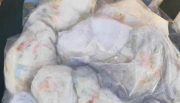 Mizoram: Assam Rifles Seizes Tortoises, Reptiles