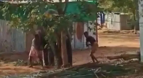 Elephant Mercilessly Beaten In Tamil Nadu, Attackers Arrested