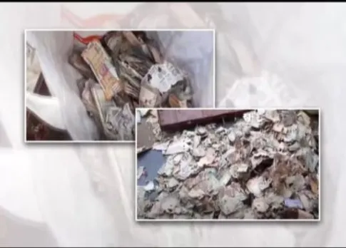 Termites Eat ₹ 5 lakh Cash Kept In Trunk