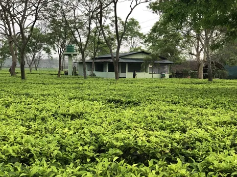 Monday Tea garden bandh withdrawn