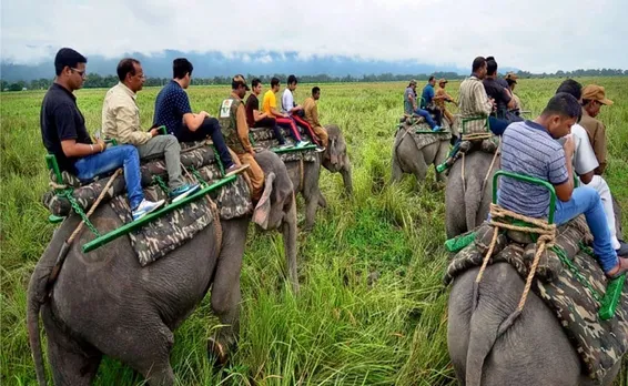 Elephant Safari in Kaziranga To Close from April 30