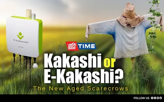 Kakashi or E-Kakashi? The New Aged Scarecrows