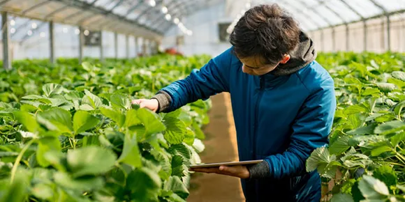 Assam Agriculture Department Announces 3000 Vacancies