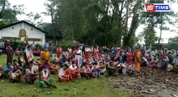 Dibrugarh: Laborers Demand Transfer of Manager from Maijan Tea Garden