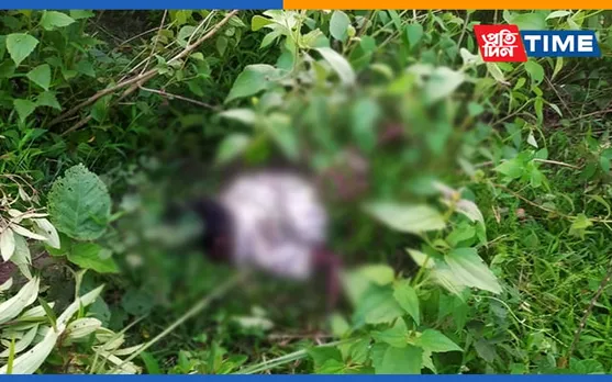 Bokakhat: 10-Year-Old Child Trampled to Death by Wild Elephant
