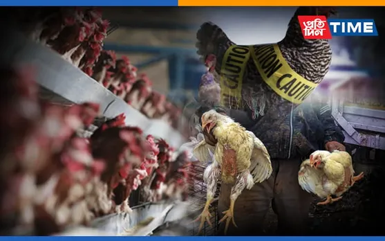 China Reports World’s First Human Case Of H10N3 Bird Flu