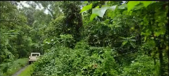 Dehing Patkai National Park Lacks Infrastructure