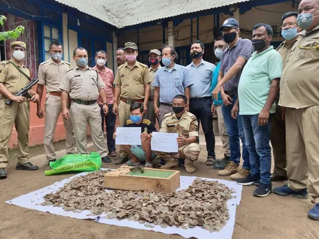10 Geckos, 10kg Pangolin Skin Recovered In Karbi Anglong, 2 Held