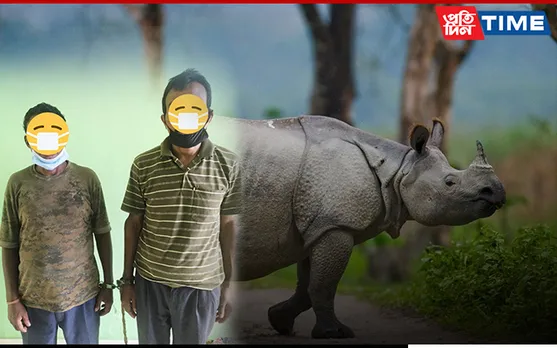 2 Forest Personnel Held For Illegal Possession Of Rhino Horn