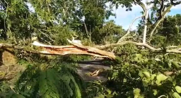 Assam: Devastating Storm In Parts Of Majuli And Dhokuakhana