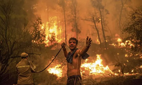 At Least 42 Dead In Algeria Wildfires