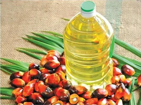 Govt Gives Green Signal To Oil Palm Mission Despite Red Flags From Top Forestry Institute
