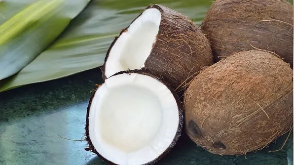 World Coconut Day: Significance & Nutritional Benefits of the Fruit