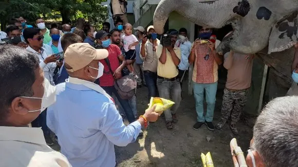 Manas and Kaziranga National Parks Reopen for Tourists Today