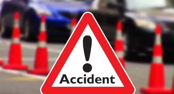 Tree Falls During Movie Shoot In North Guwahati; 4 Injured