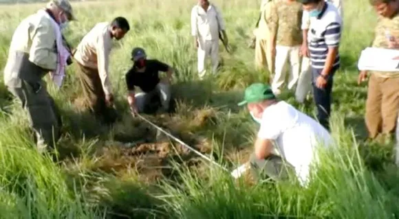 Assam: Male Royal Bengal Tiger Found Dead In Orang National Park