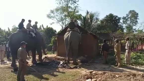 Assam: Eviction Drive Carried Out In Lumding Reserve Forest
