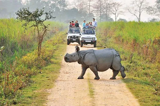Kaziranga National Park Collected Over Rs 6 Cr Revenue During 2021-22