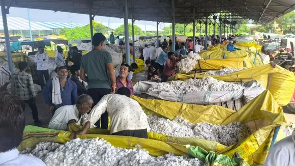 COTTON
