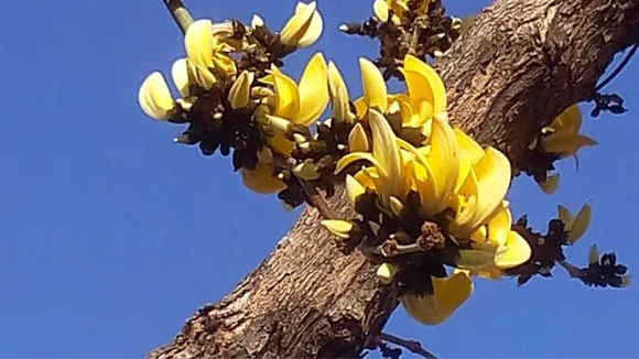 Red Bold Finance YouTube Thumbnail (7)